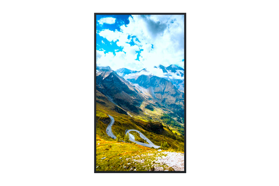 Информационный дисплей Hisense 65" 65WF25E